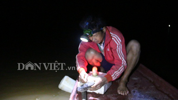 Nín thở theo dấu đàn cá ngon trên sông Đà - Ảnh 3.