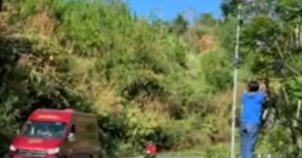 Người đàn ông vô tư bẻ hoa phượng tím ở Đà Lạt