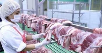 Ức chế đến từng miếng ăn