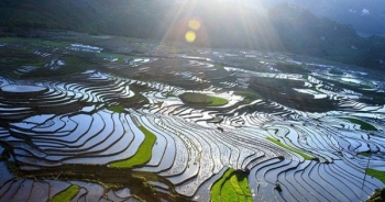 Ruộng bậc thang Sa Pa mùa nước đổ đẹp như tranh thủy mạc