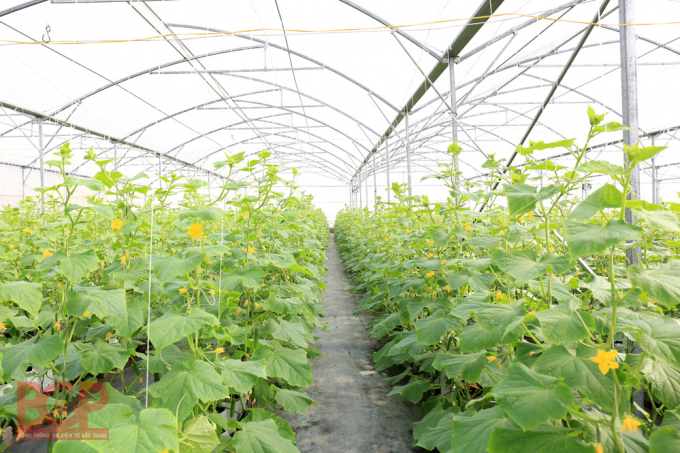 1588761115164_IMG_0515