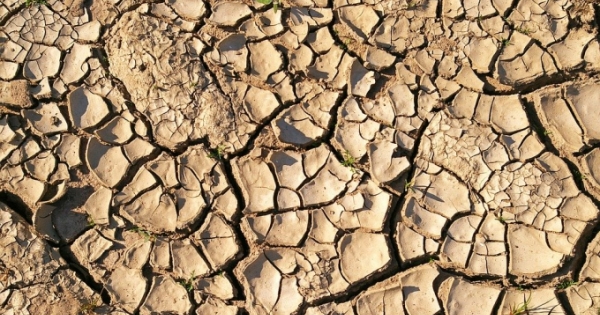 Công bố tình huống khẩn cấp do hạn hán tại Bình Thuận