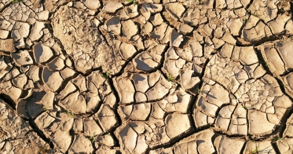 Công bố tình huống khẩn cấp do hạn hán tại Bình Thuận