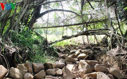 Chùm ảnh: 'Đánh cắp' nguồn nước của dòng sông ở Tây Nguyên - Ảnh 13.