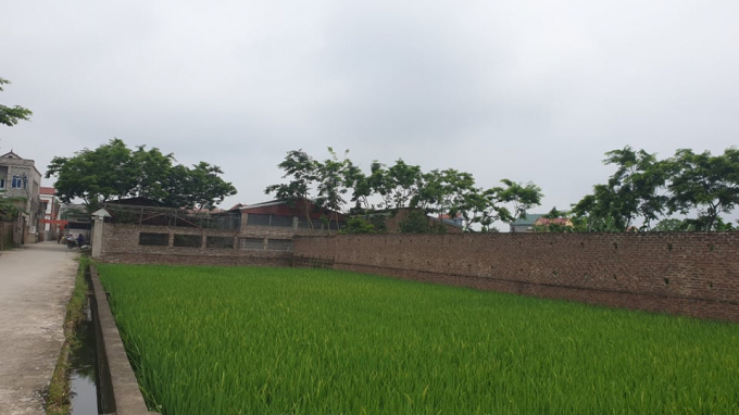 96943839_173104374043503_7492630439975190528_n