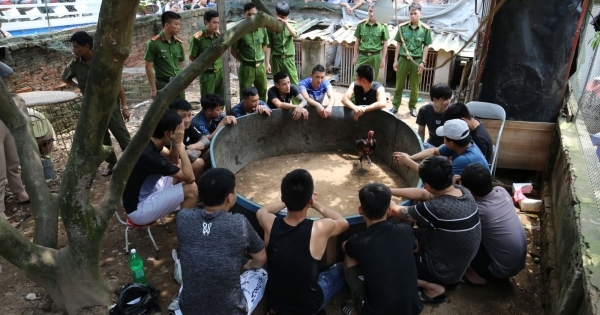 Bắc Ninh: Bắt quả tang 15 đối tượng chơi đá gà, thu giữ hơn 50 triệu đồng