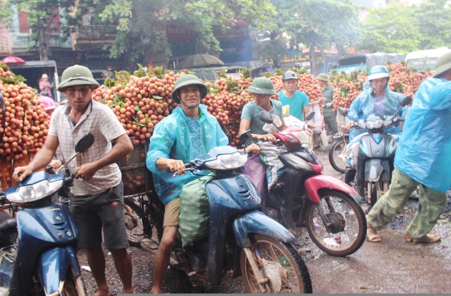 Lục Ngạn - Bắc Giang: Sắc đỏ, mầu của may mắn trên đất vải thiều