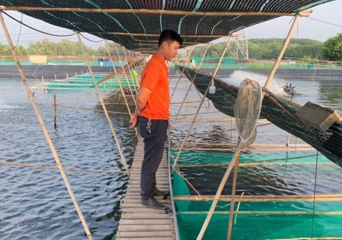 Nuoi tom cong nghe hien dai (2)