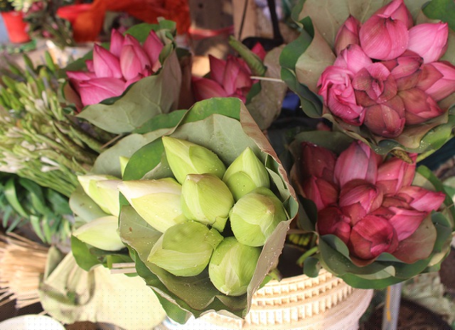 Để đa dạng sự lựa chọn, nhiều tiểu thương ở chợ Quảng Bá (Hà Nội) còn nhập cả sen trắng về phục vụ khách