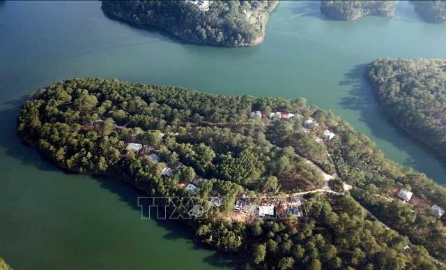 Đình chỉ thi công bệnh viện lấn rừng phòng hộ hồ Tuyền Lâm, Lâm Đồng