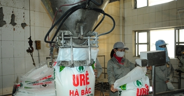 Thanh tra Chính phủ kiến nghị điều tra Dự án Đạm Hà Bắc