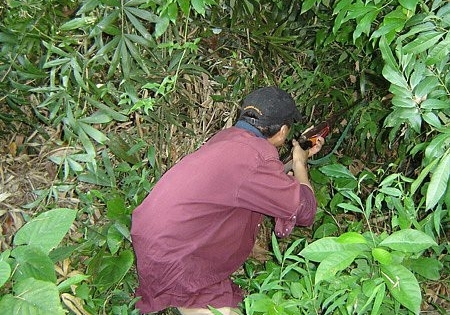 Lâm Đồng: Đi săn bắt, 1 người bị bắn chết trong rừng
