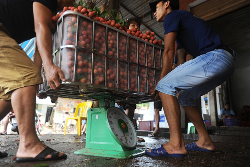 vai-huy-6145-1434091950