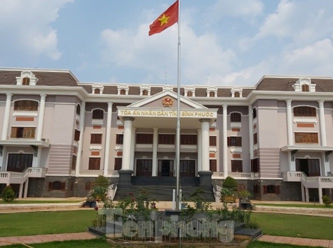 LS Dương Vĩnh Tuyến: Bị cáo nhảy lầu là hậu quả của việc ‘kêu trời không thấu’ - ảnh 3