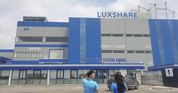 Lao động “chảy ngược” từ phố về quê