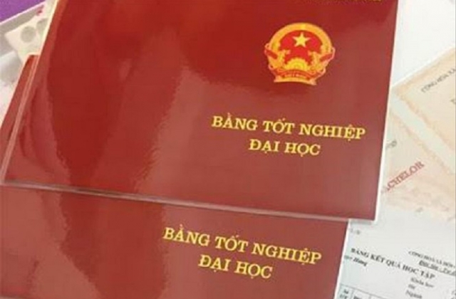 Gia Lai: 9 cán bộ bị cách hết chức vụ trong Đảng vì dùng bằng giả