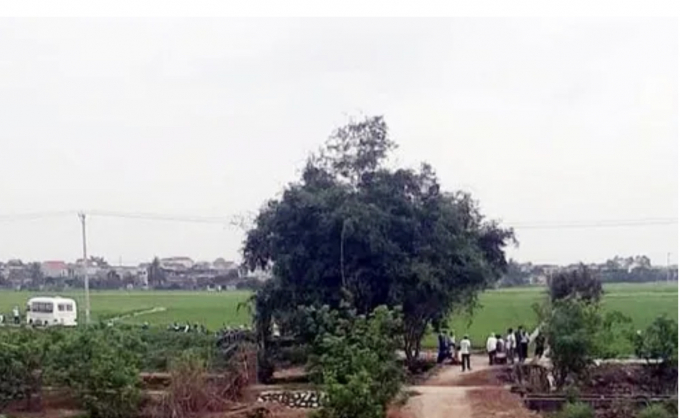 A3D611AE-6E30-437B-8E08-FA7D2F674BA4.