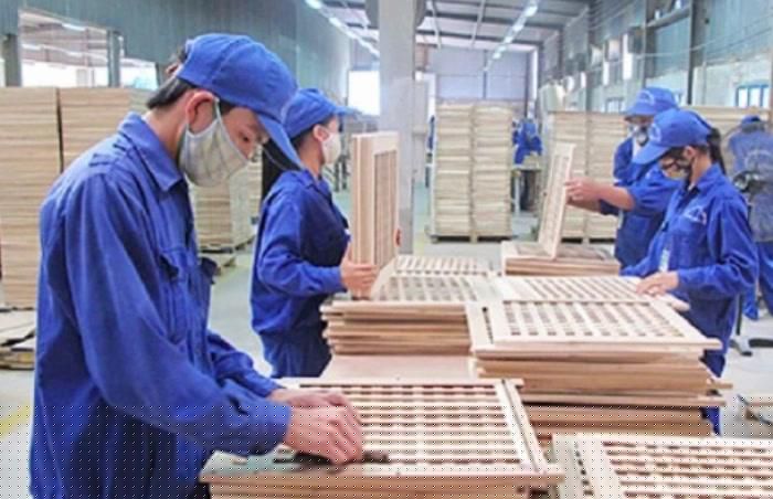 Gỗ Trường Th&agrave;nh (TTF): Lỗ lũy kế sắp 'b&agrave;o m&ograve;n' sạch vốn g&oacute;p