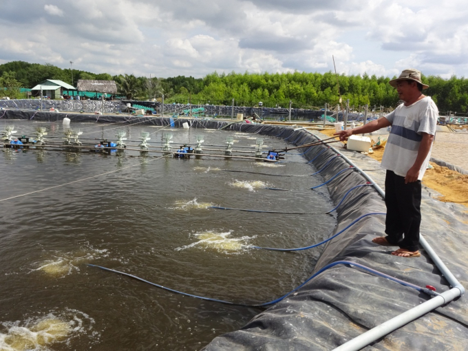 nuoi tom theo huong hien dai