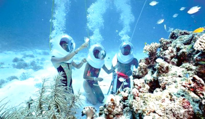 Khu bảo tồn sinh vật biển Cù Lao Chàm ở Quảng Nam.