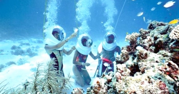 Du lịch cùng đa dạng sinh học: Cơ hội gắn liền trách nhiệm