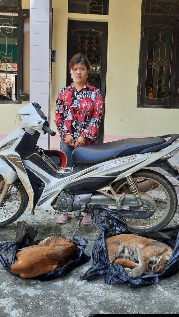 Đối tượng Nguyễn Thị Thúy và 2 con beo lửa