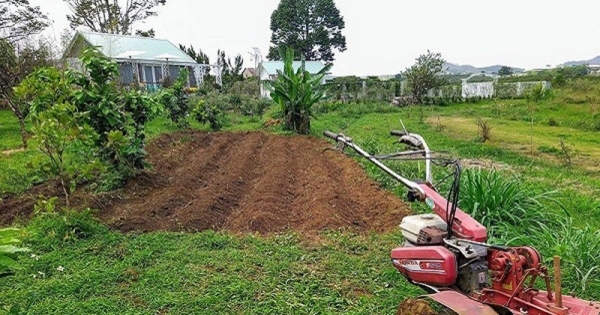 Người thành thị mơ được làm… nông dân