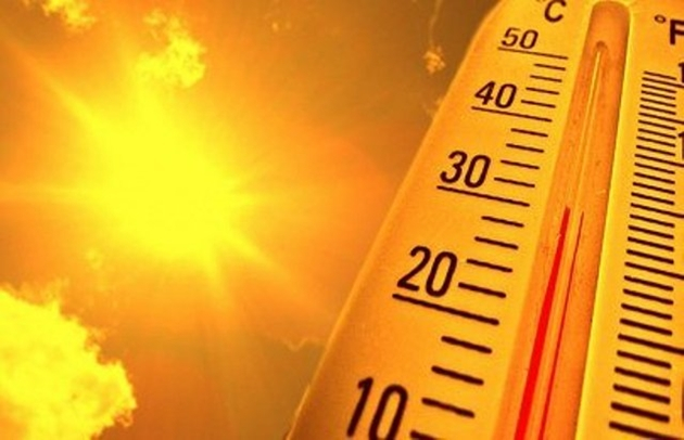 Ảnh minh họa, nguồn Internet.