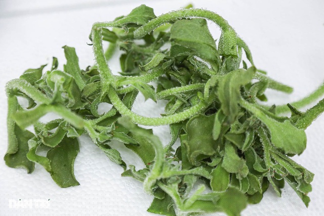 Theo một số cửa hàng bán các loại rau đặc sản, loại rau này có mức giá không hề rẻ, dao động từ 80 nghìn - 150 nghìn đồng/kg. 