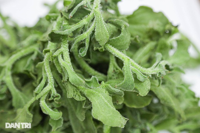 Theo một số tiểu thương, loại rau này thường xuyên cháy hàng dù mức giá đắt đỏ nhưng vì vừa ngon, vừa tốt cho sức khỏe lại hữu ích trong công cuộc giảm cân giữ dáng nên đây đang là loại rau được nhiều người yêu thích.