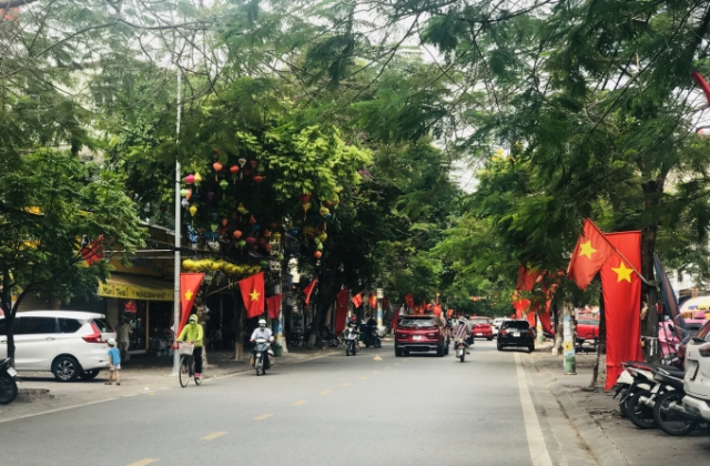 TP Hải Phòng rực rỡ cờ hoa trước ngày bầu cử