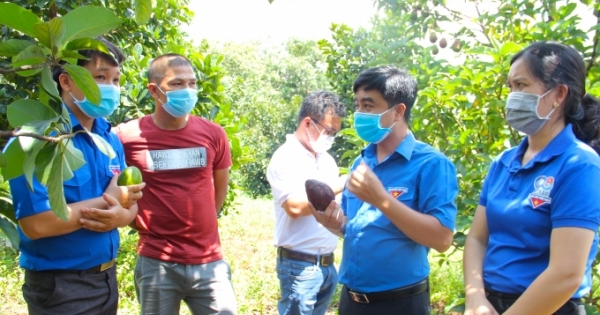 Nhiều hoạt động của tuổi trẻ Bình Phước hướng về ngày bầu cử 23/5