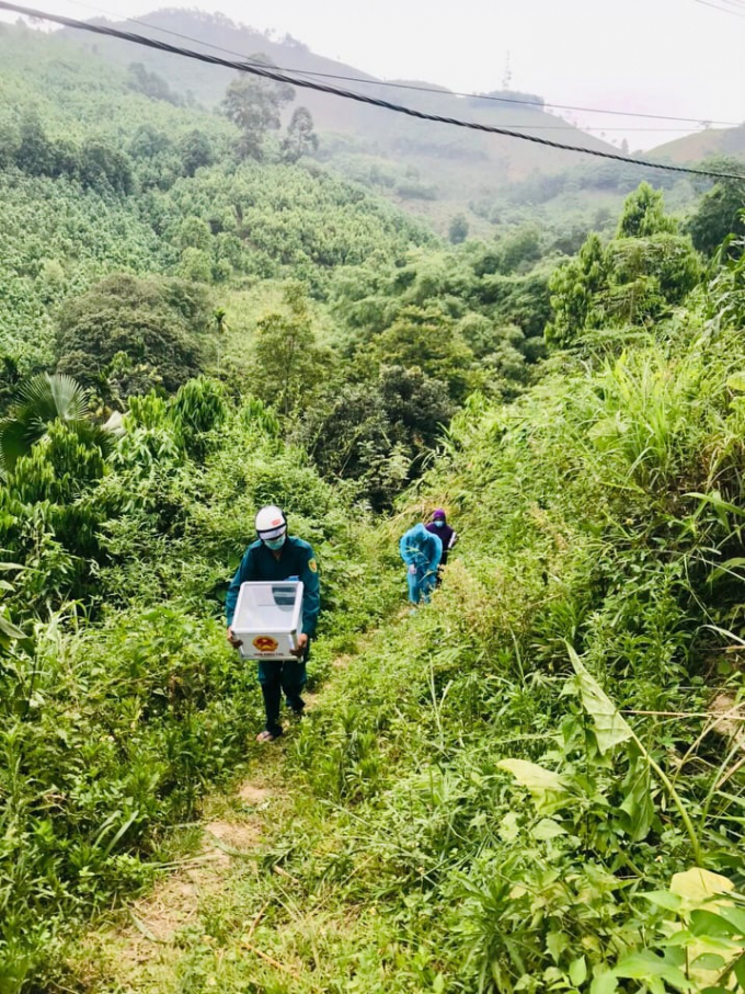 187077712_326319782433670_413374816191422990_n