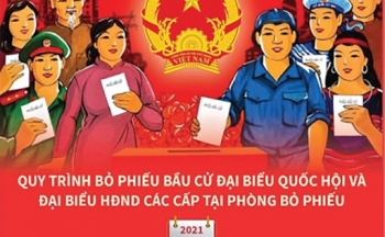 Hướng dẫn bỏ phiếu bầu cử theo quy trình 6Đ