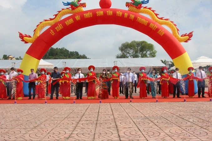 1622018010-xkvaithieu