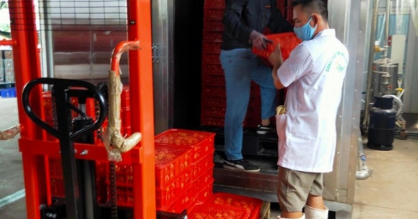 Nhật Bản cấp phép thêm 2 cơ sở khử khuẩn vải thiều tại Hải Dương