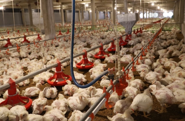 Công ty CP Đầu tư và Xây dựng số 1 Hà Tĩnh bị phạt hơn 400 triệu đồng