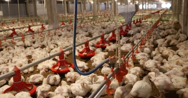 Công ty CP Đầu tư và Xây dựng số 1 Hà Tĩnh bị phạt hơn 400 triệu đồng