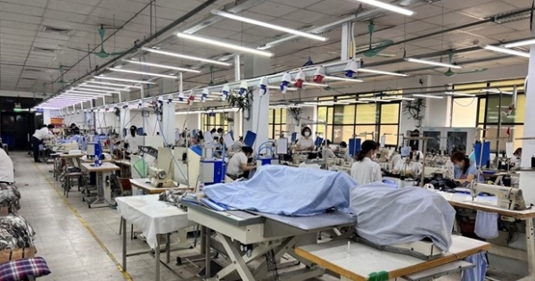 Bức tranh toàn cảnh về nhân lực ở Việt Nam: Nhiều điểm tích cực