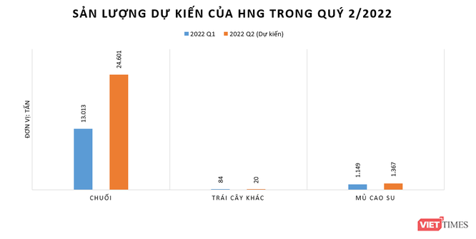 HNG lỗ quý thứ 4 liên tiếp