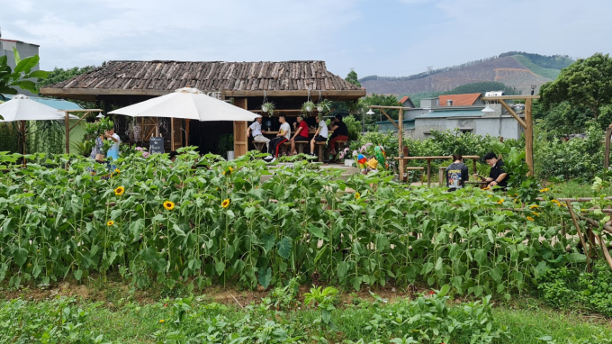 d372a4b9b4a875f62cb9