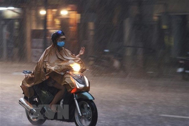 (Ảnh minh họa: TTXVN)