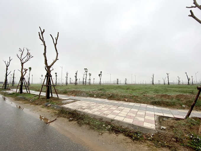 Thanh-lam-dai-thanh-2-7