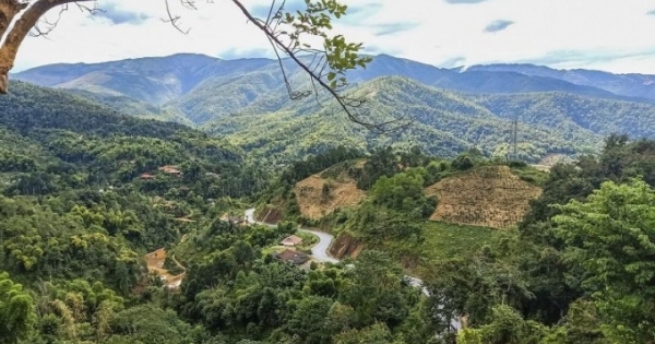 Sắc màu ấm no trên đỉnh đèo Pha Đin