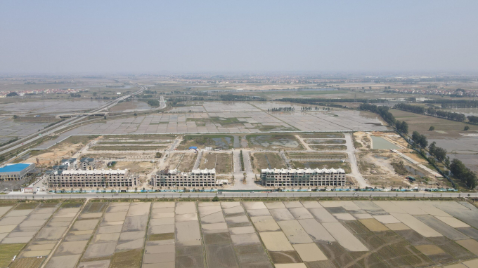 Kim-Do-Policity-Yen-Phong-scaled