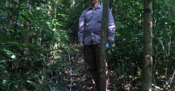 Quảng Ninh: Khởi tố đối tượng dùng súng tự chế vô tình bắn người