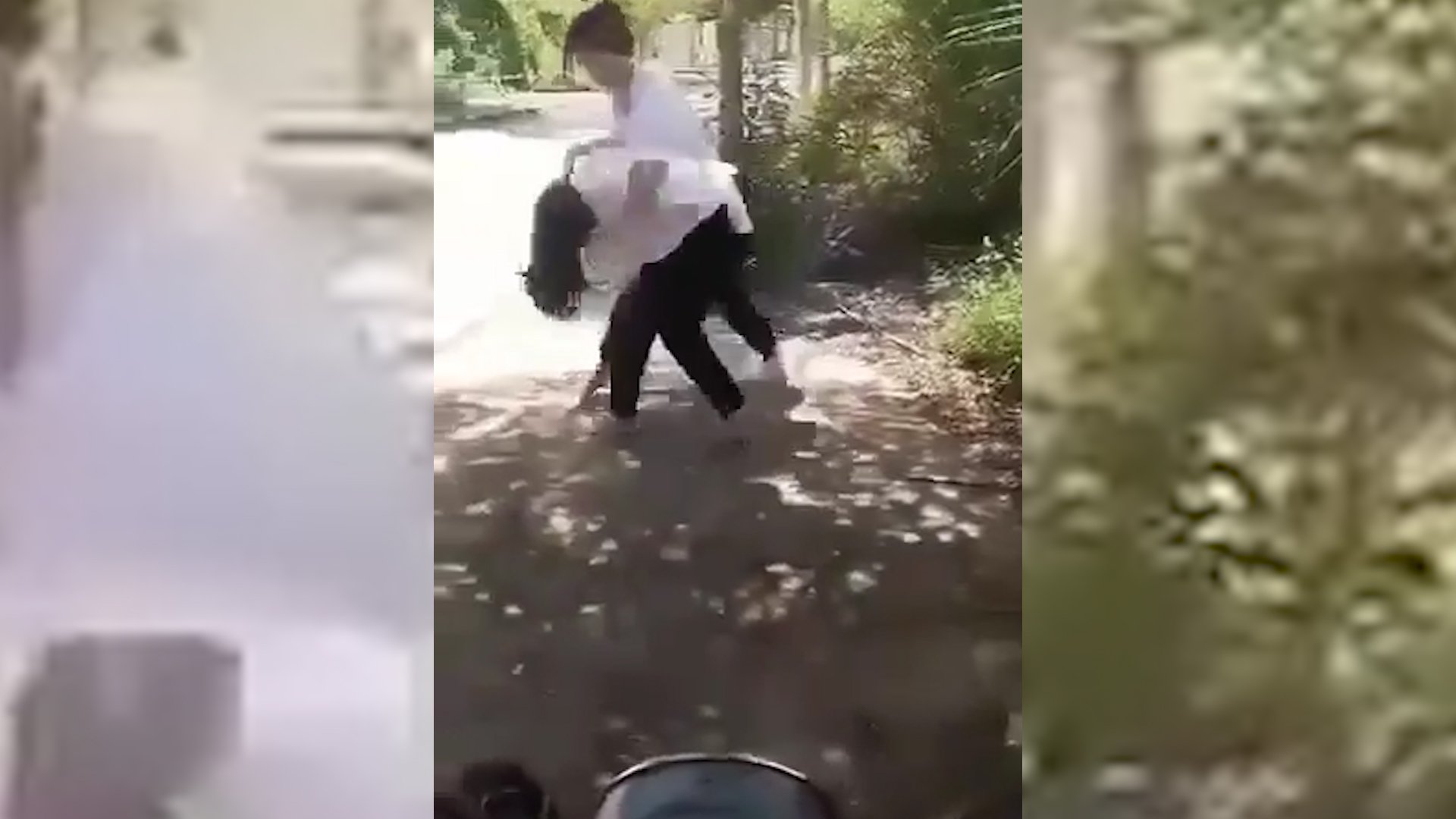 Ảnh cắt từ clip.