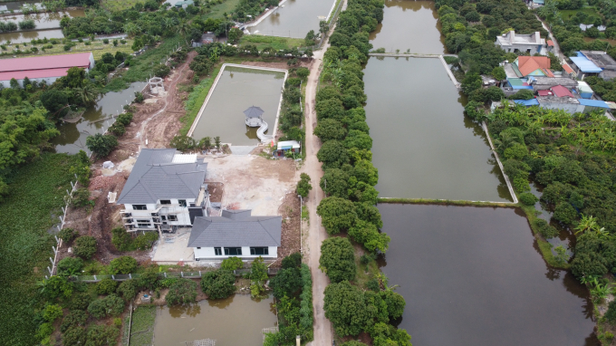 Đất nông nghiệp thuộc quản lý của Công ty Quý Cao bị xâm phạm nghiêm trọng. .