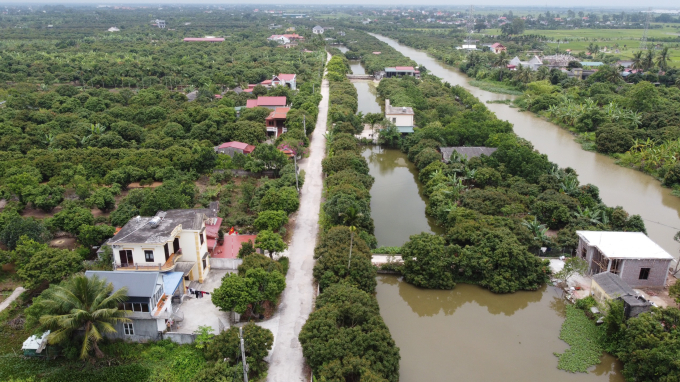 Nhà ở, nhà trọ, nhà xưởng xây dựng trái phép trên diện tích hơn 100ha đất nông nghiệp.