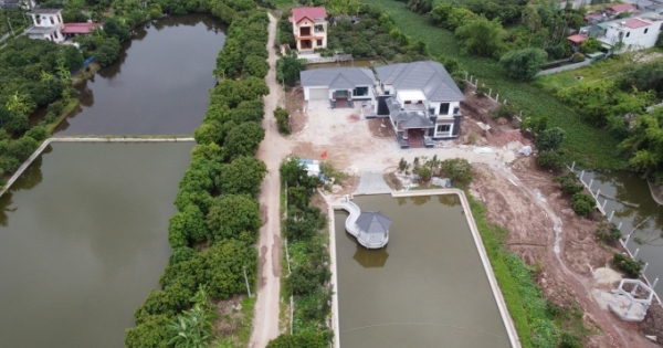 Hải Phòng chỉ đạo xử lý sai phạm “khủng” tại nông trường Quý Cao